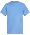 AT001 Unisex 150 T Shirt Cornflower Blue colour image